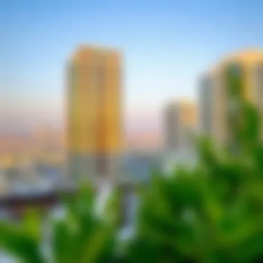 Magnificent Exploring 1 BHK Rentals in Oud Metha Magnificent Exploring 1 BHK Rentals in Oud Metha
