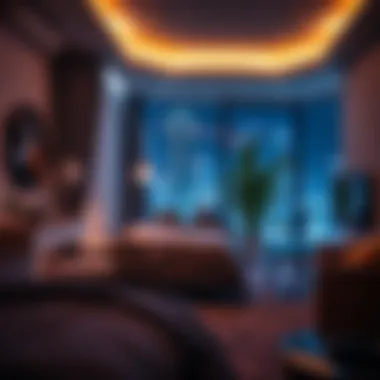 Magnificent Exploring Single Room Rentals in Silicon Oasis