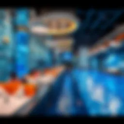 Aqua Fun Dubai: Understanding Pricing Structures and Value Introduction