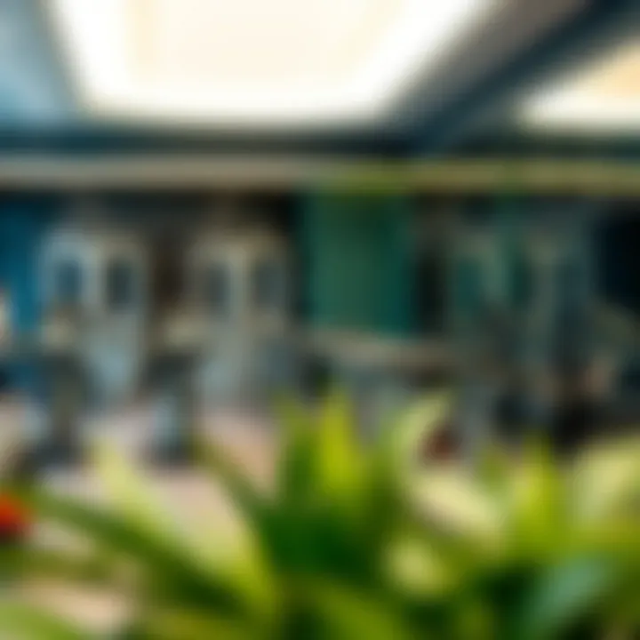 Comprehensive Insights into JVC Gym and Its Place in Dubai's Wellness Landscape Summary