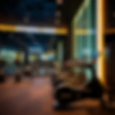Comprehensive Overview of Fitness First Al Barsha Reviews Summary