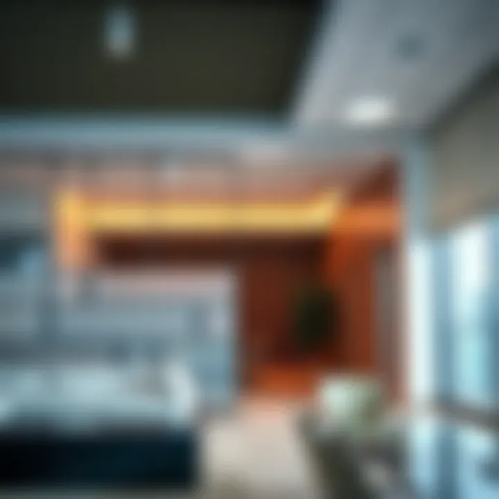 Notable Exploring Closed Partition Options in Business Bay