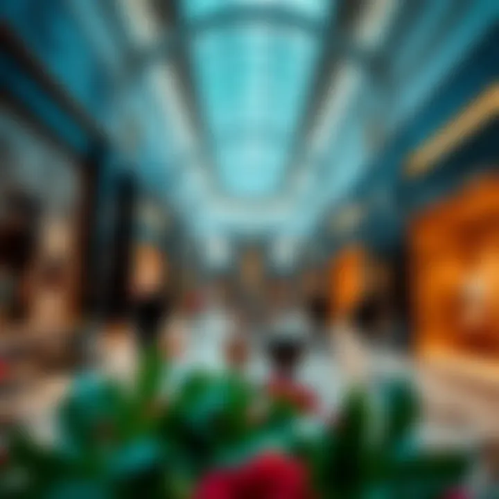 Luxurious shopping experience inside جاليريا مول دبي
