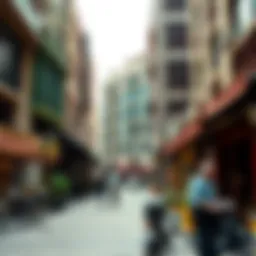 Exploring Rolla Street: A Comprehensive Overview of Bur Dubai Introduction