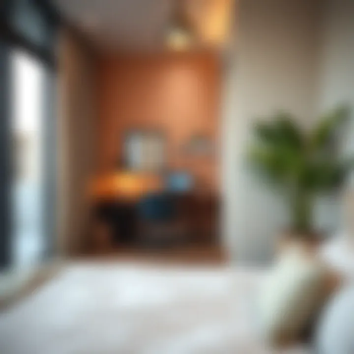 Notable Exploring Single Room Rentals in Silicon Oasis