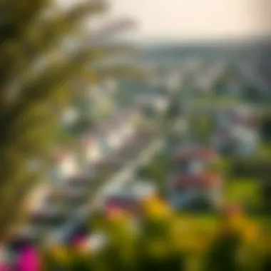 Scenic View of Al Twar 2 Neighborhood Lush green neighborhood in Al Twar 2 with villas